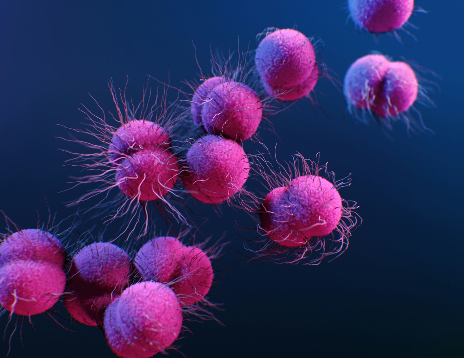 sepsis